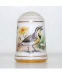 Western meadowlark