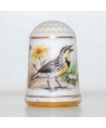 Western meadowlark