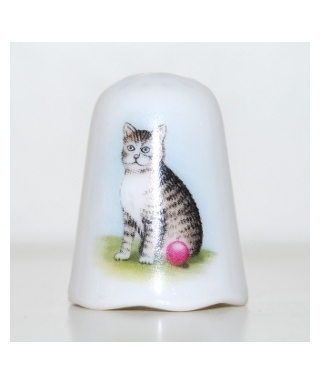 The pondering cat