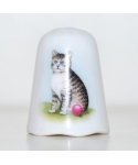 The pondering cat