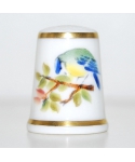 Blue tit - P. Dunkley