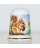 Squirell