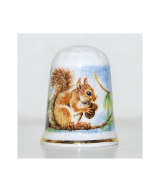 Squirell