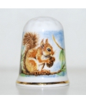 Squirell
