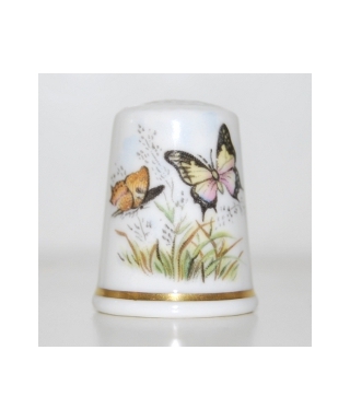 Swallowtail Butterfly