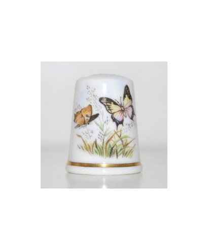 Swallowtail Butterfly