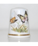 Swallowtail Butterfly