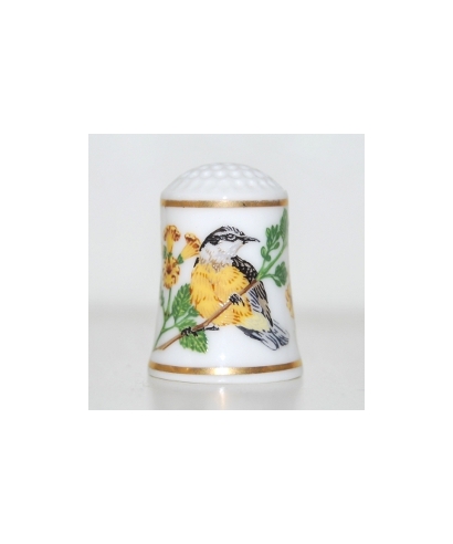 Songbirds Of The World Series - Bananaquit