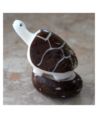 Tagua turtle