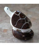 Tagua turtle