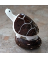 Tagua turtle