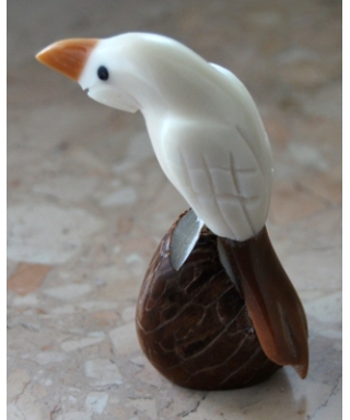 Tagua parrot