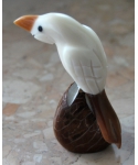 Tagua parrot