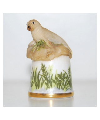 Seal