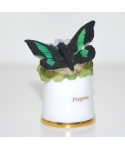 Prepona