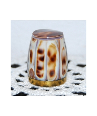 Cowrie shell