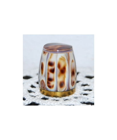 Muszla porcelanki