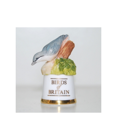 Nuthatch