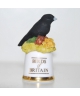 Jackdaw