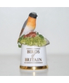 Redstart
