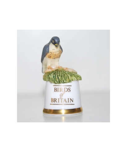 Peregrine falcon