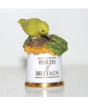 Greenfinch