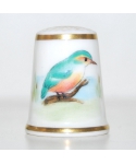 Kingfisher - Helen Ligthert