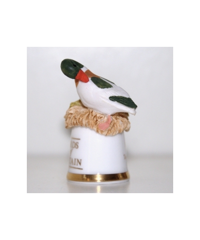 Shelduck