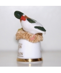 Shelduck