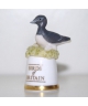 Guillemot