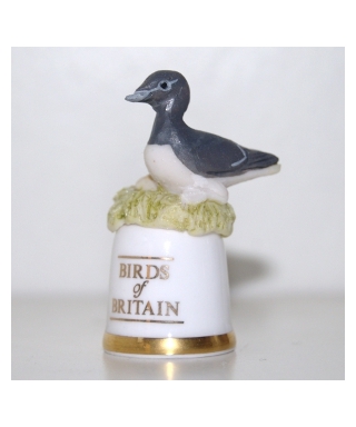 Guillemot