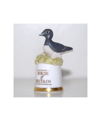 Guillemot