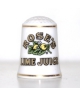 Rose's Lime Juice