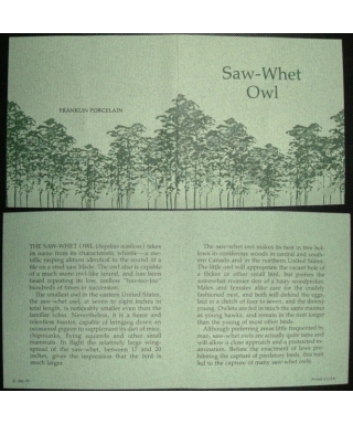 Saw-Whet Owl - certificate