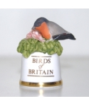 Bullfinch