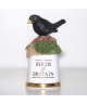 Blackbird