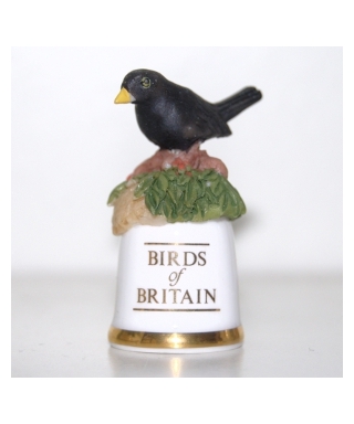 Blackbird