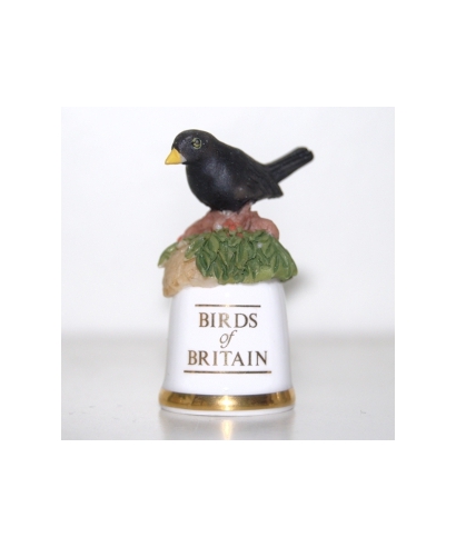 Blackbird