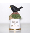 Blackbird