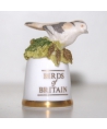 Long-tailed tit