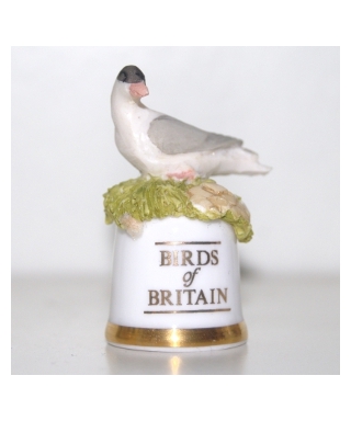 Tern