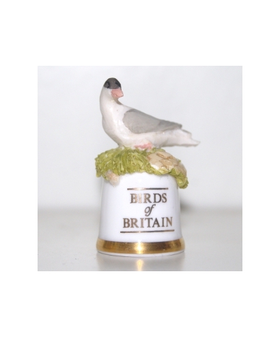 Tern