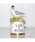 Tern