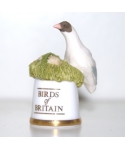 Black-headed gull
