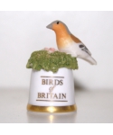 Chaffinch