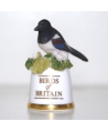 Magpie