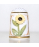 Rudbekia