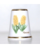 Hyacinth