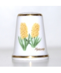 Hyacinth