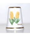 Hyacinth